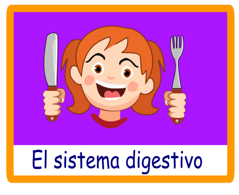 El Sistema Digestivo - Nuestro Cuerpo - Juegos - Juegos educativos en español, JuegosArcoiris